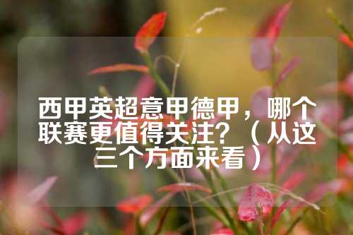图多尔有可