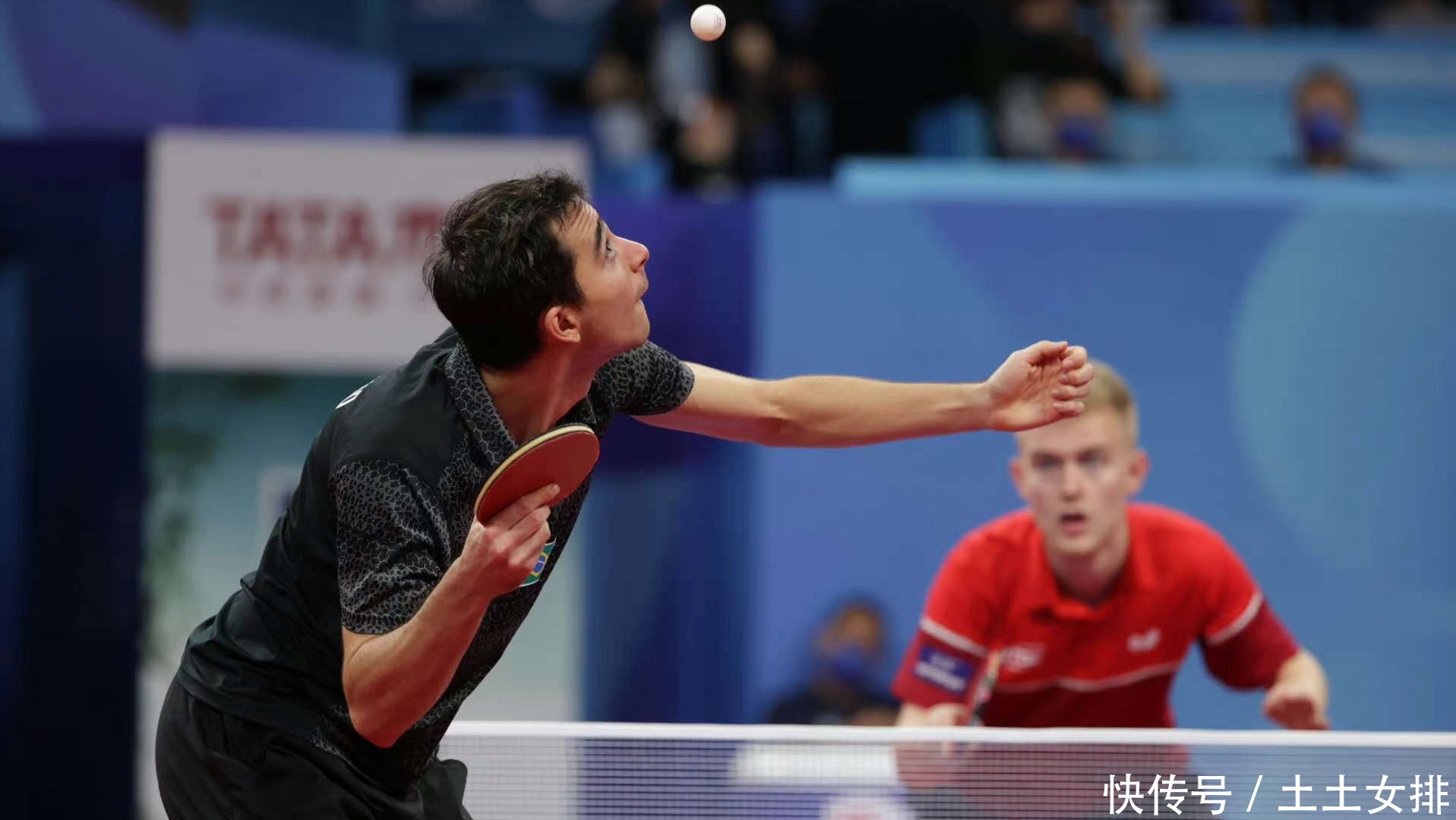 向于观望 向于观望